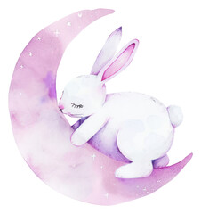 Sticker - PNG Cute bunny sleeping moon