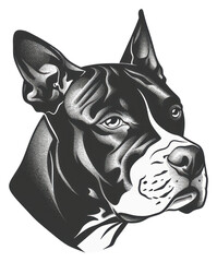 Poster - PNG Pitbull dog tattoo illustrated bulldog.