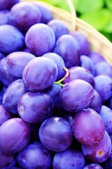 Wall Mural - Fresh ripe blue plums beautifully presented on a wicker plate with a light background