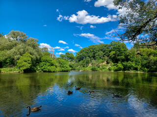 Humber riber in summer