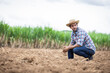 © kamonrat - Contemplative Farmer Sitting on Barren Land, Reflecting on the Challenges of Agriculture, Drought, and the Unpredictability of Nature in a Rural Farm Setting
