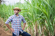 © kamonrat - Proud Farmer Standing in Sugarcane Field, Observing Growth and Health of Crops, Reflecting on Agricultural Success and Sustainable Farming Practices