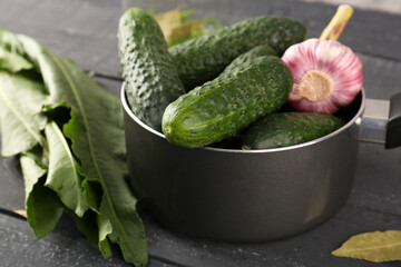 Sticker - Saucepan with fresh cucumbers for preservation on dark wooden background