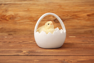 Sticker - Basket with cute little chick on wooden background