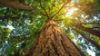 © Srisa - Discuss the significance of tree conservation efforts.
