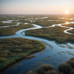 Wall Mural - Salt marsh 