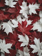 Poster - Red and White Leaves Laying on Ground