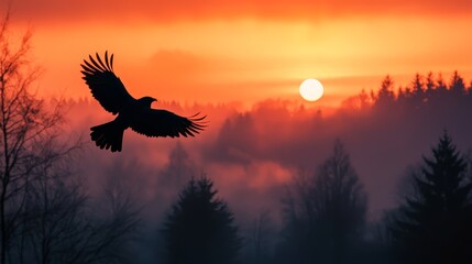 Wall Mural -  Bird flies over sunset, trees in foreground, foggy sky background