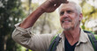 © peopleimages.com - Hiking, mature man and view in forest, smile and backpacking in nature for adventure, outdoor and trip. Journey, travel and old person on vacation in New Zealand, sightseeing and happy for holiday