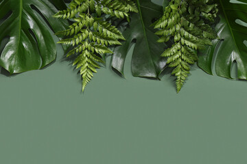 Poster - Different green tropical leaves on color background