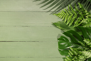 Poster - Different tropical leaves on green wooden background