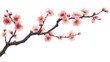 © wellart - Watercolor painting of a delicate pink cherry blossom branch with soft petals and brown branches isolated on a white background.