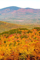 View of fall foliage from an overlook on Mount Sunapee.