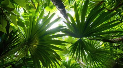 Sticker - Jungle, palm leaves, canopy. Generative AI