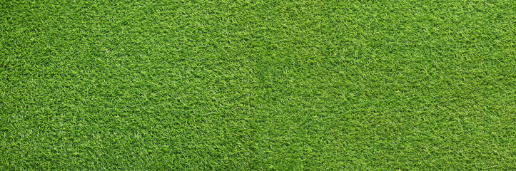 Wall Mural - Green artificial grass as background, banner design