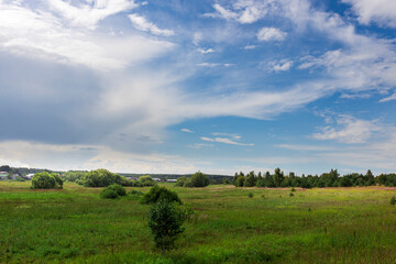 Wall Mural - A vast meadow stretches beneath a clear blue sky, dotted with lush greenery and patches of trees, basking in the warmth of a bright sunny day.