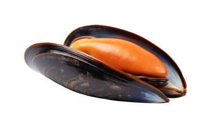 Wall Mural - Stuffed Mussel Isolated On PNG Transparent And White Background