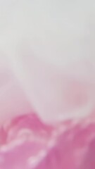 Poster - Rose petals in ink. Stock footage. Close-up of beautiful pink rose petals with gentle mist. Gentle misty ink covers rose petals in water