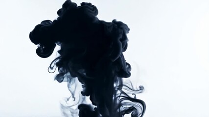 Poster - Black ink falls into water, creating abstract shapes on white. Fluid motion mesmerizes, adding creativity. Dark contrasts light for elegant, modern design