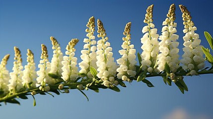 Sticker - flowers against sky