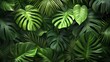 © Devian Art - Tropical landscape. Large leaves of tropical plants. Close up. Tropical forest plants. High quality illustration.