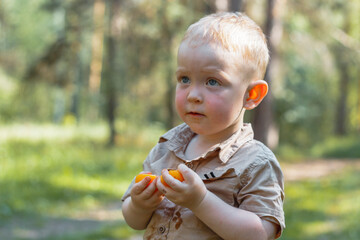 Cute handsome blond boy in beige shirt and shorts eating ripe orange apricots