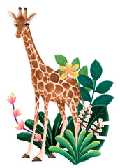 Wall Mural - Giraffe wildlife png sticker, cute animal illustration, transparent background