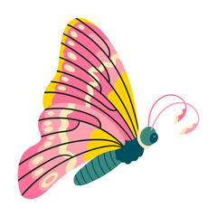 Canvas Print - Butterfly png sticker, nature illustration, transparent background