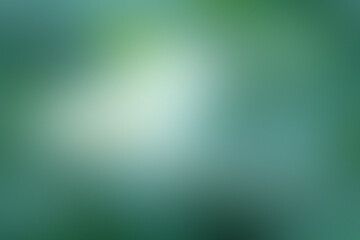 Poster - Soft sunlight filters through lush greenery, creating a tranquil atmosphere in a vibrant outdoor space