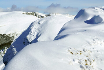 Snow-covered mountains in Biogradska Gora National Park: view of slopes and peaks with snowdrifts sparkling in the sun. Winter landscape taken near the Kolasin 1600 ski resort in Montenegro.