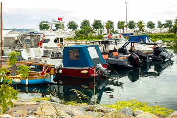 boats anchored in the harbor