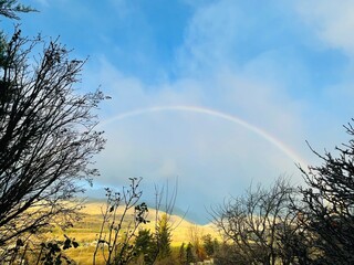 rainbow in the sky