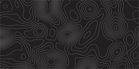 Poster - Abstract white on black background Topographic line map pattern. Contour elevation topographic and textured Background Modern design with black background with topographic wavy patted.	