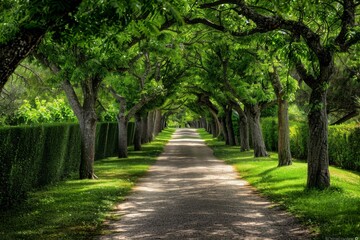  Germany, Mecklenburg-Western Pomerania, Ruegen, Bergen, Alley, cobblestone street. Beautiful simple AI generated image in 4K, unique.