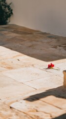 Canvas Print - A single red flower sitting on a stone floor next to steps, AI