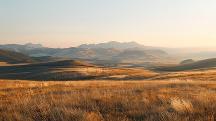Poster - Golden hills and vast open grasslands are illuminated by the first light of day, showcasing nature's untouched beauty and creating an awe-inspiring and peaceful landscape.