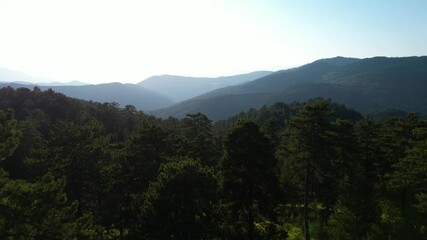 Wall Mural - Horizons of forest and mountains at twilight, a beautiful landscape in the wild, living in nature