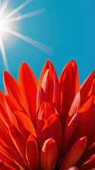 Sticker - A close up of a red flower with the sun shining behind it, AI