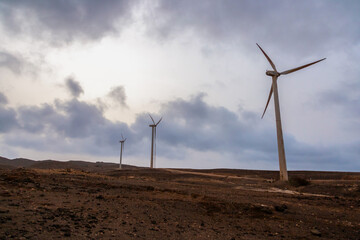 wind turbines farm