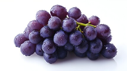 Juicy Purple Grapes Cluster Freshly Picked from the Vine in Close-up Photography