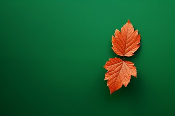 Poster - leaf on green background