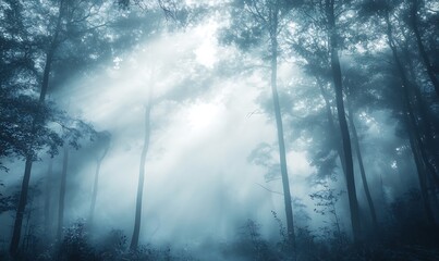 Poster - Background of a Misty Forest with Towering Trees and Soft Bokeh Effect
