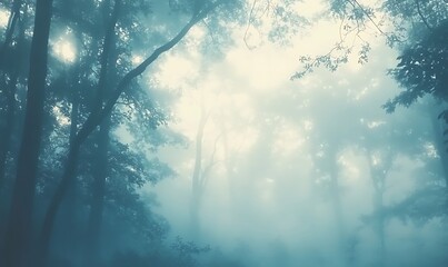 Poster - Background of a Misty Forest with Towering Trees and Soft Bokeh Effect