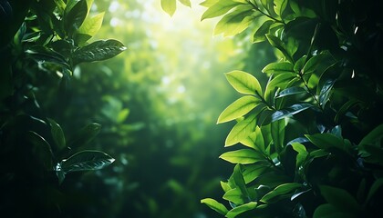 Poster - Background of Thick Jungle Vines and Leaves with Soft Bokeh