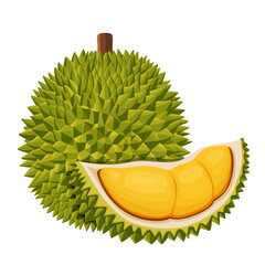 Wall Mural - durian isolated on white background