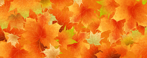 Wall Mural - Autumn abstract banner with bright beautiful maple leaves. Fall art background, poster, cover or flyer design. Vector template for advertising, print, packaging, social media