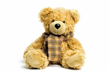 teddy bear isolated white background