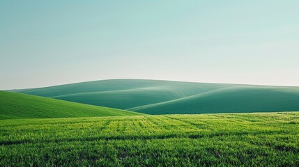 Canvas Print - Rolling Green Hills Under a Clear Sky