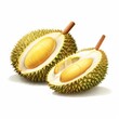 © hamzahalderad - Two open durian fruits with yellow flesh and sharp green thorns.