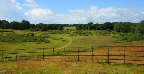 Suffolk  countryside near Woodbridge with fence track and trees